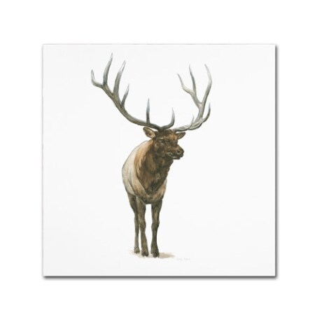 Trademark Fine Art Emily Adams 'Natural Majesty I' Canvas Art, 24x24 WAP01172-C2424GG